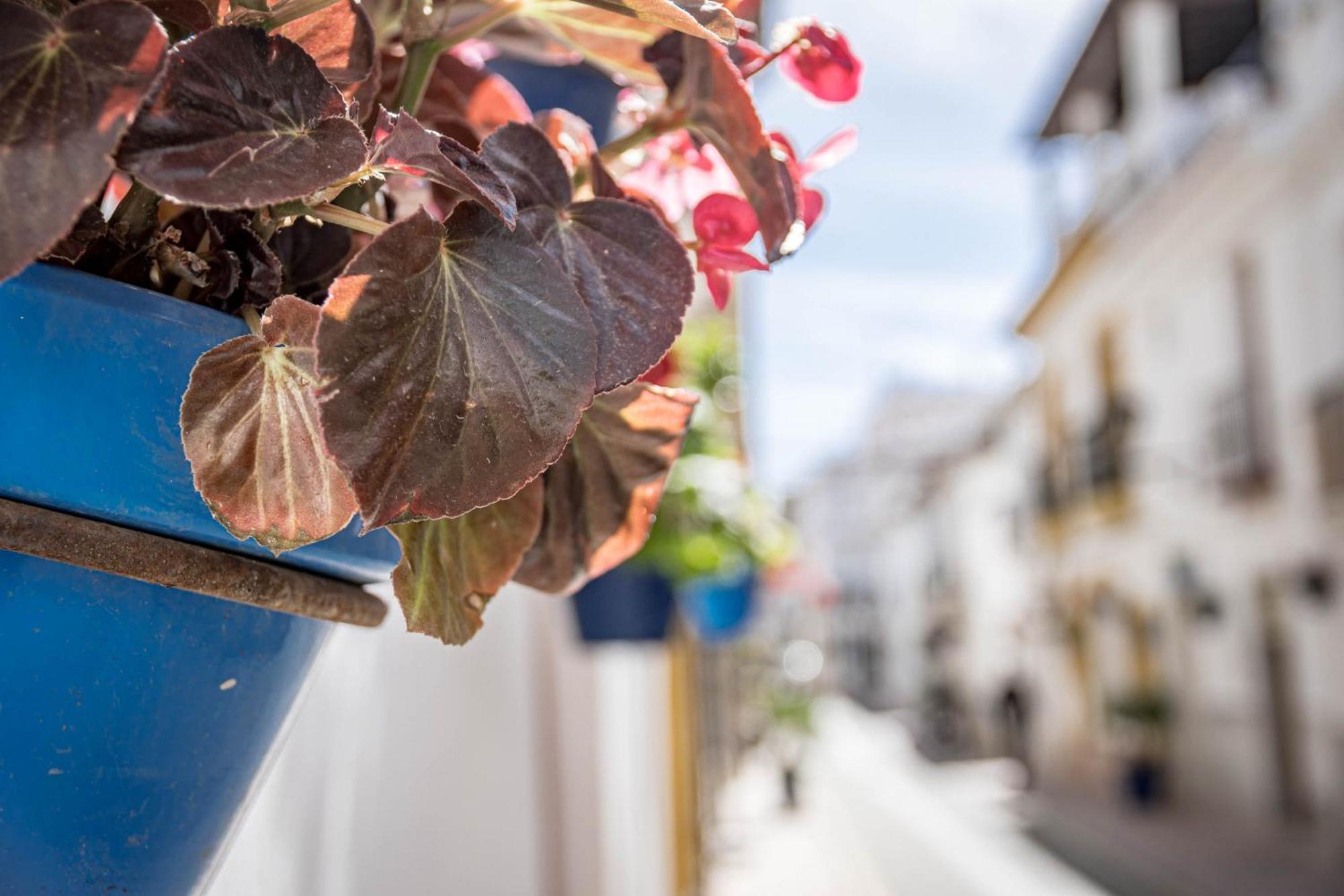 Seaclub Suites Estepona Kültér fotó